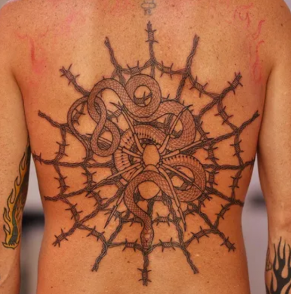 Laba-laba hitam dengan jaring yang rumit